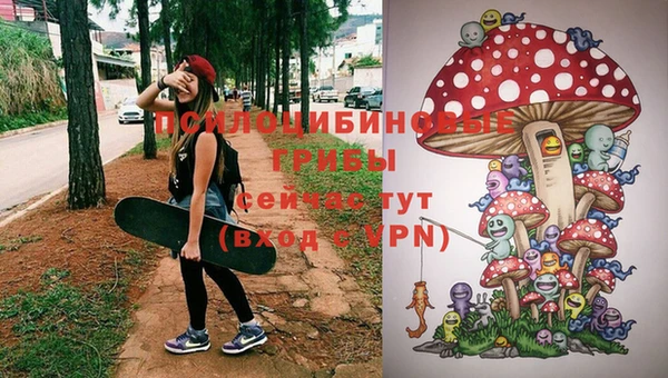 СК Аркадак